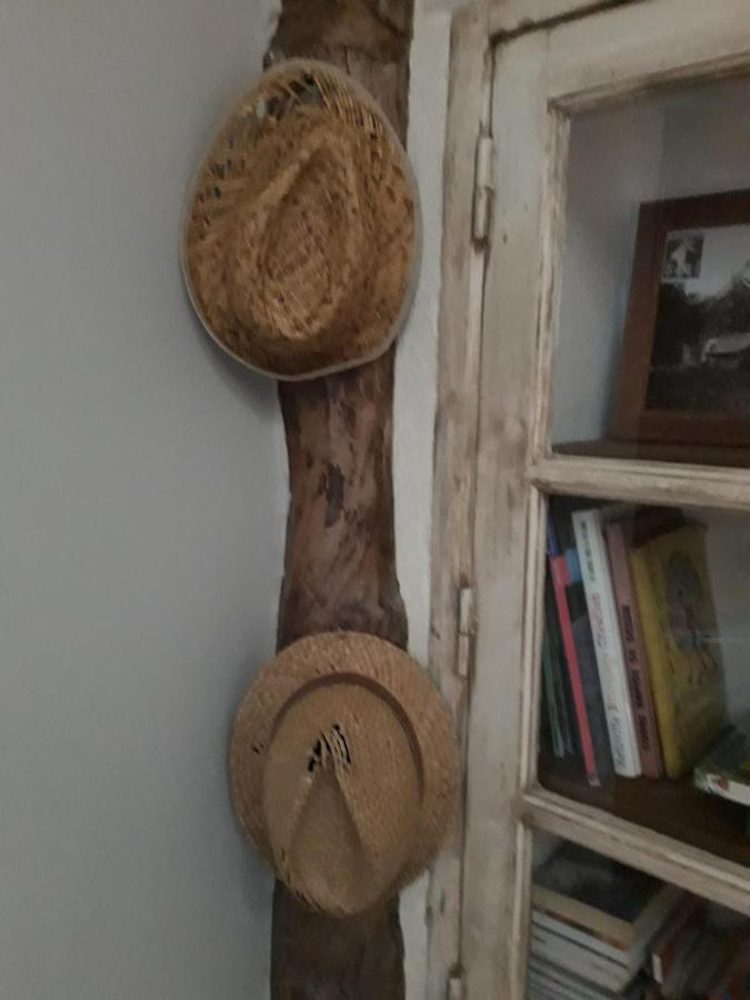 Bed and Breakfast La Mesonnetta Soulignonne Esterno foto