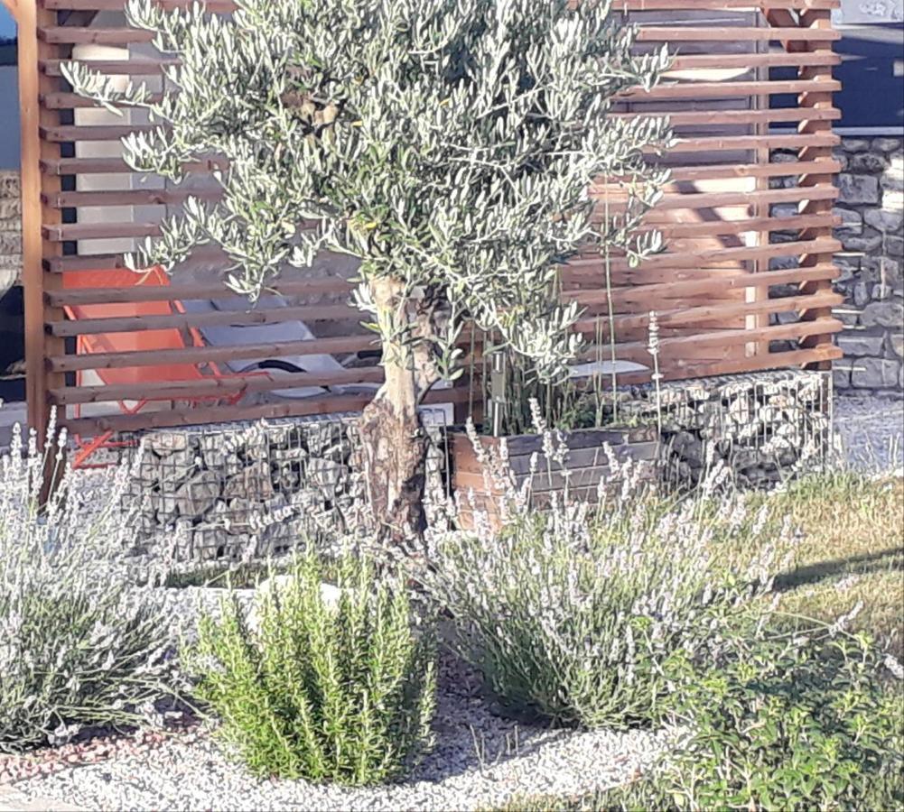 Bed and Breakfast La Mesonnetta Soulignonne Esterno foto