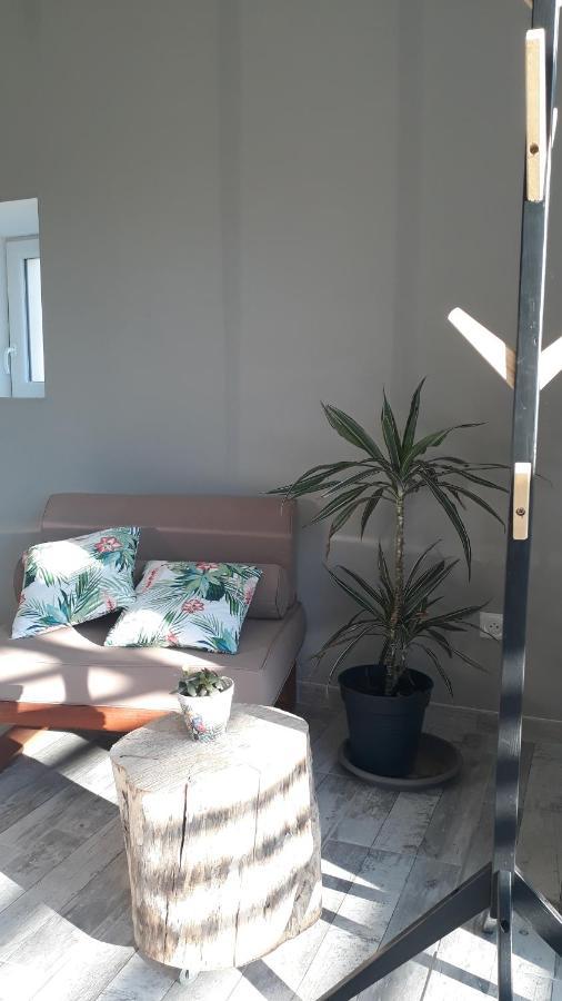 Bed and Breakfast La Mesonnetta Soulignonne Esterno foto