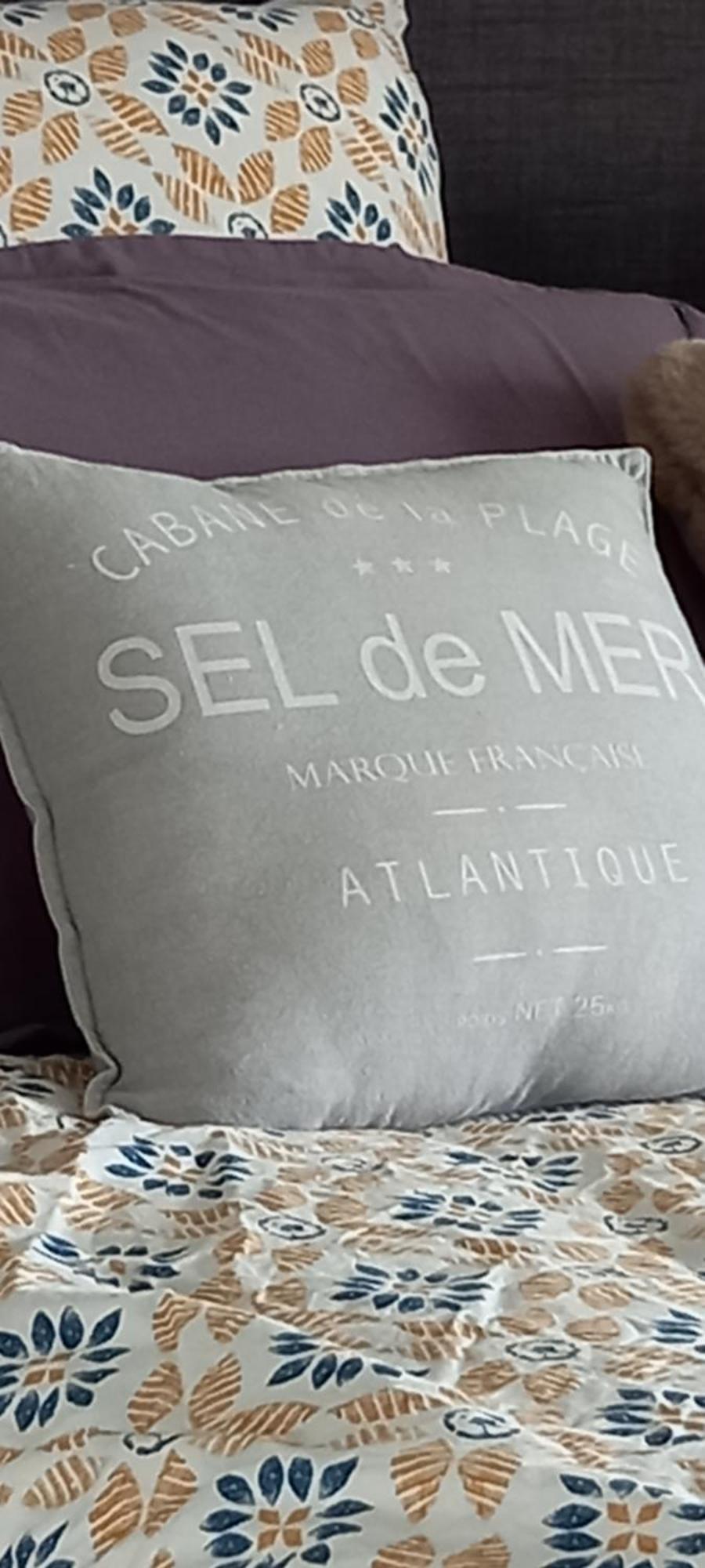 Bed and Breakfast La Mesonnetta Soulignonne Esterno foto